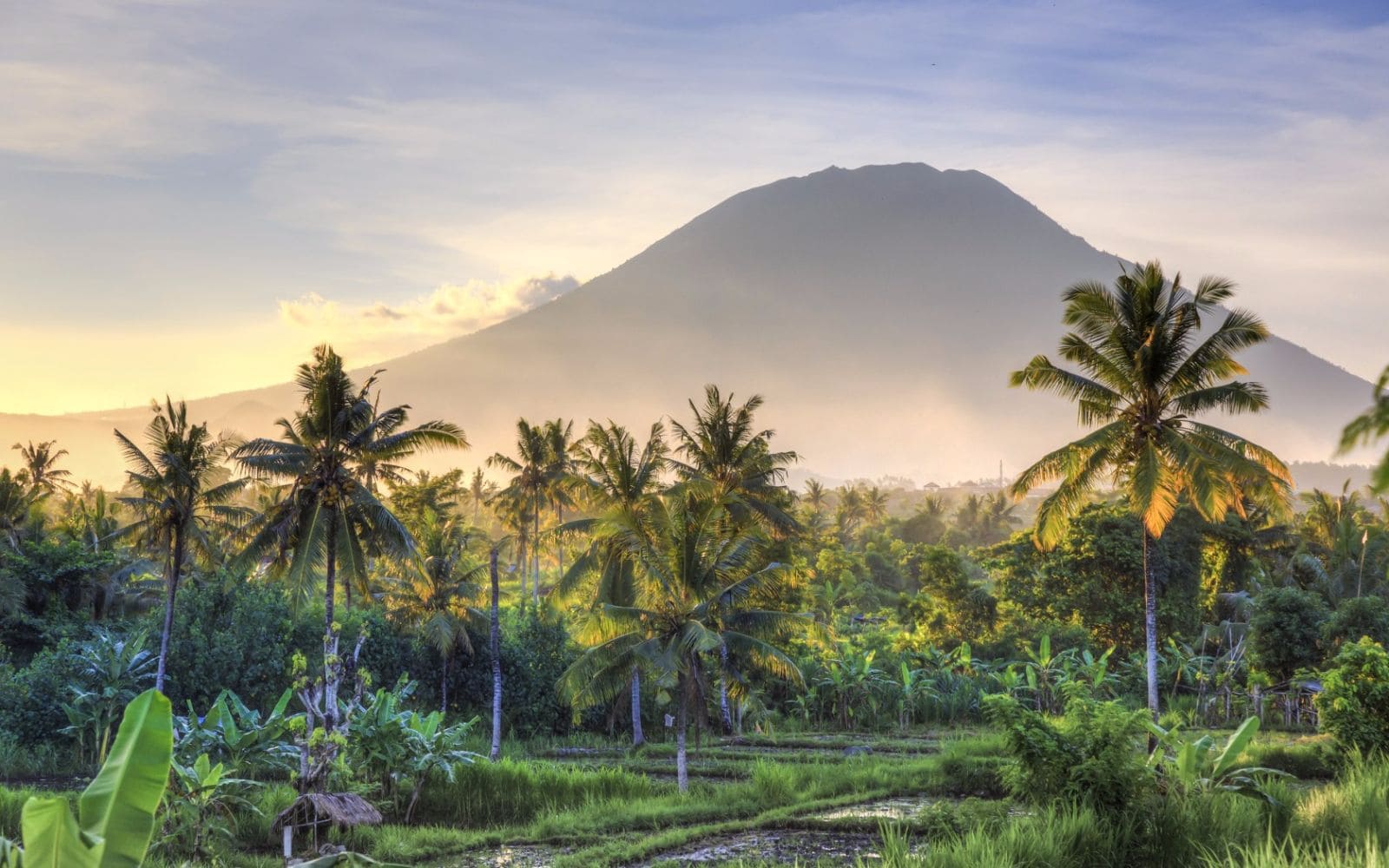 Organizar un viaje a Indonesia