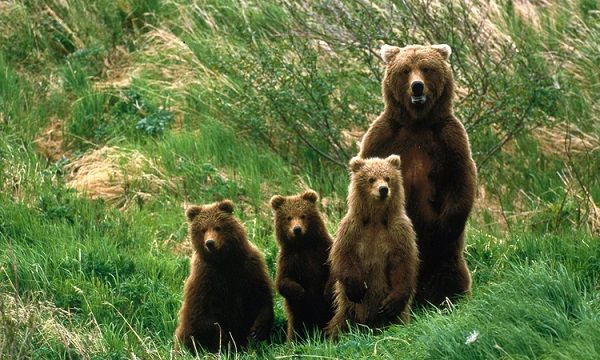 Parque Natural de Bucegi